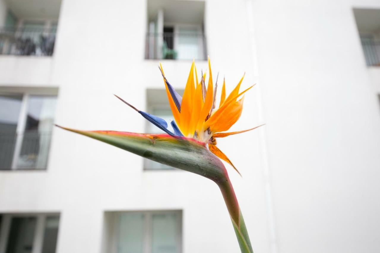 Lisbon Downtown Apartment Free Parking Exterior foto
